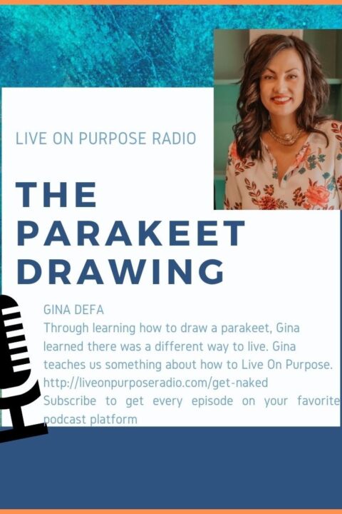 The Parakeet Drawing