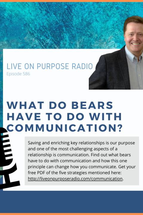 What Do Bears Have To Do With Communication? Episode #586